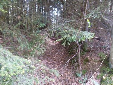 Terrain de loisirs - Bois - Etang à vendre à La Folletière-Abenon dans le Calvados (14290), ref : 14058-1510