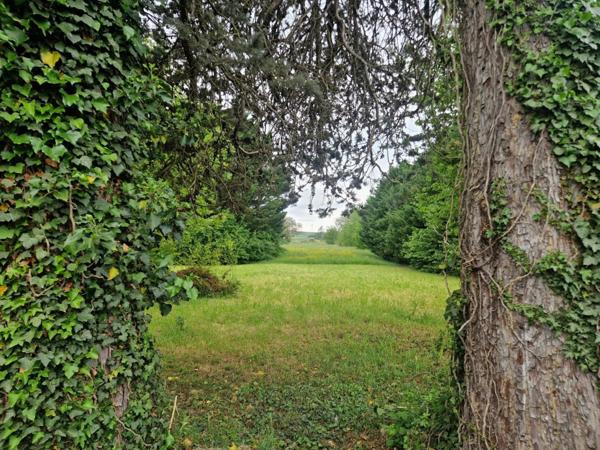 Belle longère avec 4000 M2de terrain, dépendances