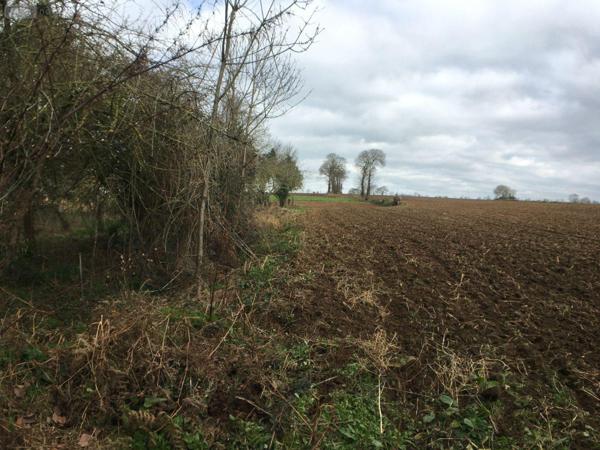 Maison à restaurer à vendre à Montanel dans la Manche (50240), ref : 12541/1963