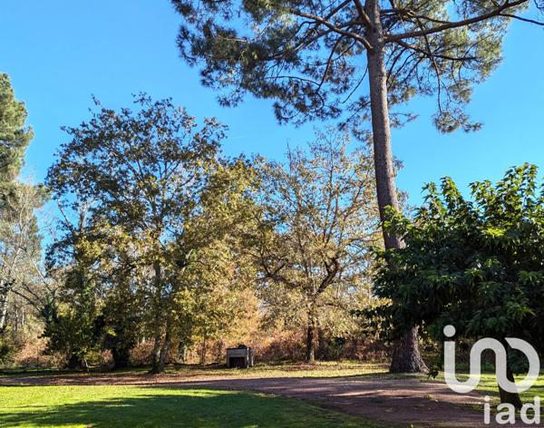 Maison à vendre 7 pièces 218 m² Cestas