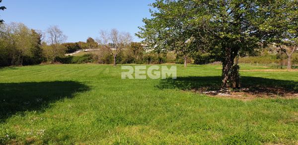 San-Giuliano (20230) Propriété de Caractère 8 pièces – 400 m² avec Piscine & Vue Panoramique