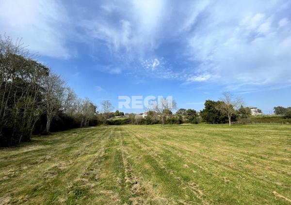 San-Giuliano (20230) Propriété de Caractère 8 pièces – 400 m² avec Piscine & Vue Panoramique