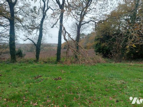 TERRAIN A BATIR 1300M²