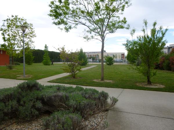 Montfavet (84140) Agroparc – Etudiant- Studio 25 m² avec terrasse et parking – 1er étage - Agroparc Montfavet (Avignon)