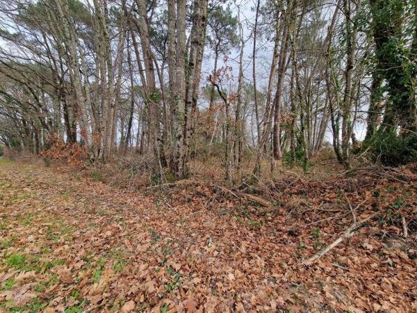 Terrain Constructible Saint-Geours-de-Maremne 33 a 03 ca