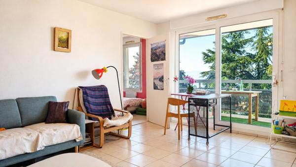 Appartement T2 vue Léman avec balcon - Evian(74)