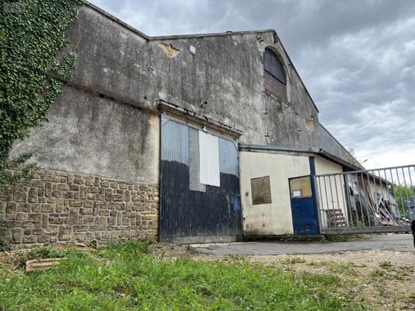 Local mixte (Pro/Hab) à vendre à Wadelincourt dans les Ardennes (08200), ref : 045/1013