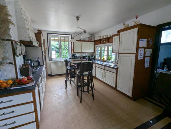 Local mixte (Pro/Hab) à vendre à Wadelincourt dans les Ardennes (08200), ref : 045/1013