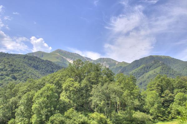 Maison à vendre à Tardets-Sorholus (64470) - Pyrénées-Atlantiques