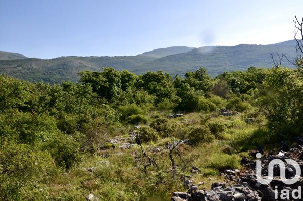 Terrain à vendre 17 300 m² Saint-Vallier-de-Thiey