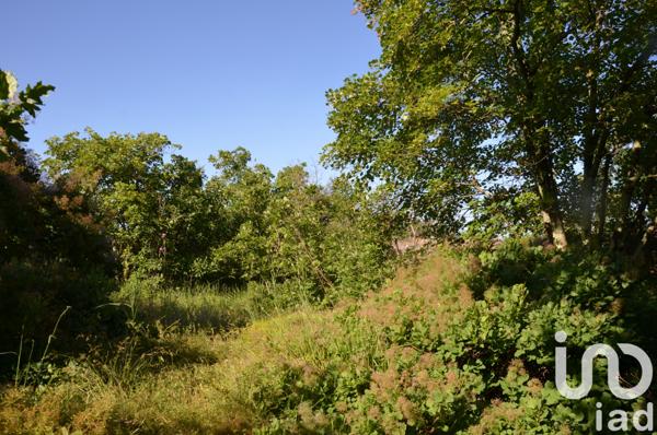 Terrain à vendre 17 300 m² Saint-Vallier-de-Thiey