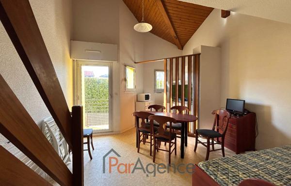 Appartement Duplex lumineux