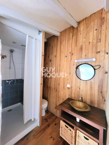 LOCATION : appartement T1 (20 m²) à TOULOUSE COTE PAVE