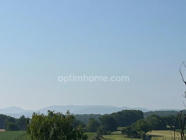 BUSCHWILLER, quartier résidentiel, superbe maison familiale entièrement rénovée en 2024, 186m², 5chambres, 2salles de bains, 7ares, panneau photovoltaique, classe énergie B. Top emplacement.