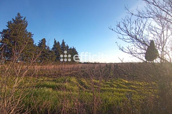 Maison 10 pièces - 316 m² Bien prestige