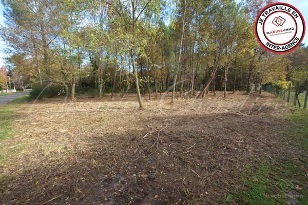 Terrain à vendre de 3 700 m²