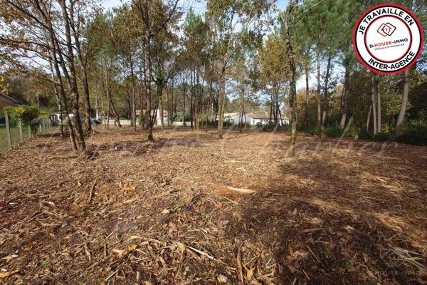 Terrain à vendre de 3 700 m²