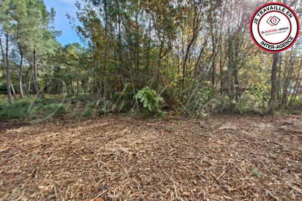 Terrain à vendre de 3 700 m²