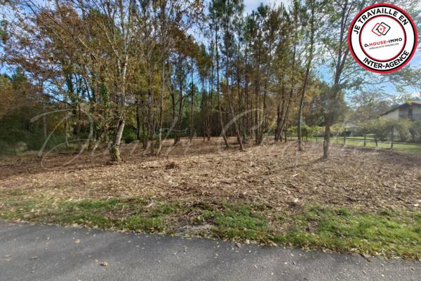 Terrain à vendre de 3 700 m²