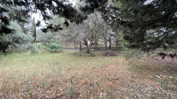 Terrain - 713 m²