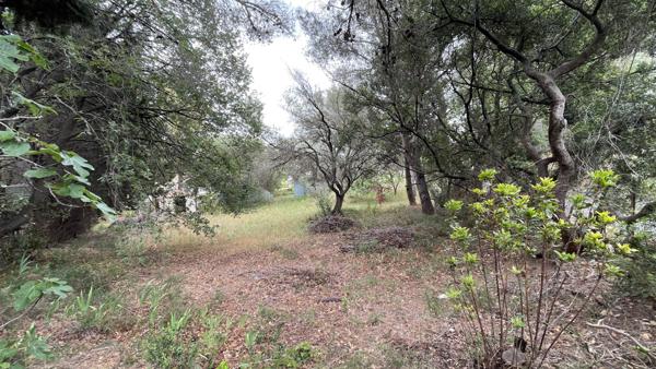 Terrain - 713 m²