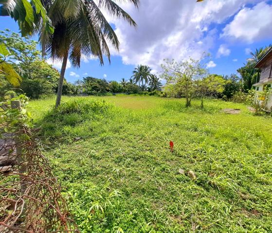 Beau terrain plat de 1 065 m² prêt à bâtir à SAINT ANNE
