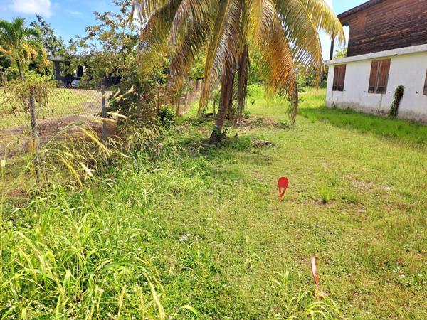 Beau terrain plat de 1 065 m² prêt à bâtir à SAINT ANNE