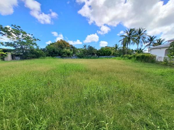 Beau terrain plat de 1 065 m² prêt à bâtir à SAINT ANNE