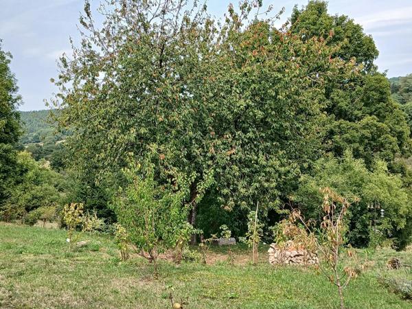 Maison  67 m2 sur parcelle de 710 m2