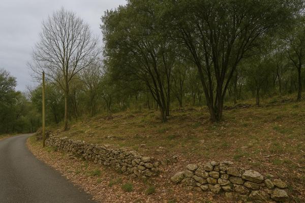 Vente / Terrain constructible