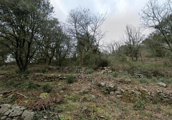 Vente / Terrain constructible