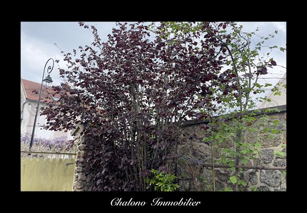 Saâcy-sur-Marne (77730) Dept 77 - SAACY SUR MARNE - MAISON 250 M² - TERRAIN 845 M²