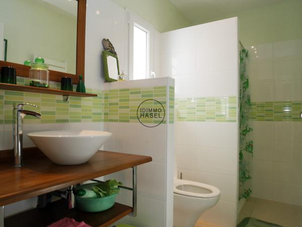 Belle villa Languedocienne avec piscine, jardin d'agrément et potager Salles-d'Aude (11110)