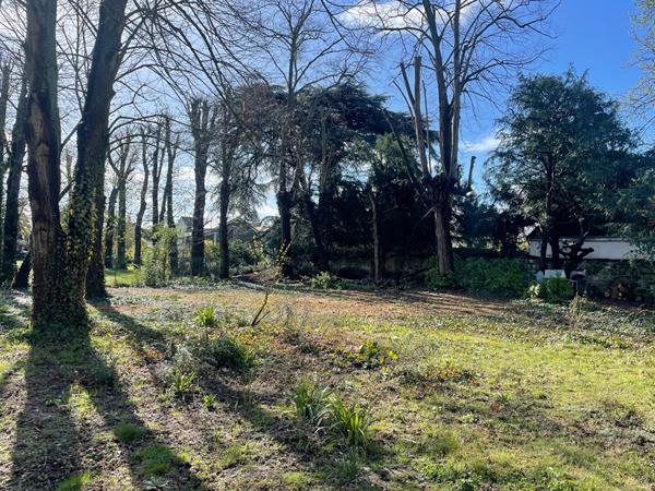 Terrain Le Mesnil Le Roi 530 m2 - MAISON À CONSTRUIRE SANS LIMITE DE CONSTRUCTIBILITE - PAS DE LIMITE D'EMPRISE AU SOL