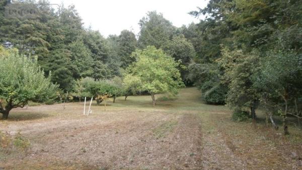 Terrain à Batir à vendre à Levroux dans l'Indre (36110), ref : 36019/704