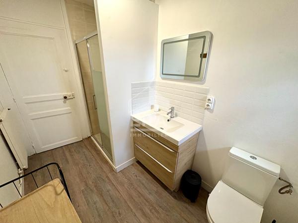 APPART. T2 MEUBLE A LOUER - BLOIS - CENTRE-VILLE, VUE SUR LOIRE, AMENAGEMENT DE QUALITE