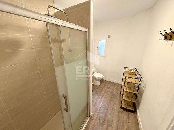 APPART. T2 MEUBLE A LOUER - BLOIS - CENTRE-VILLE, VUE SUR LOIRE, AMENAGEMENT DE QUALITE