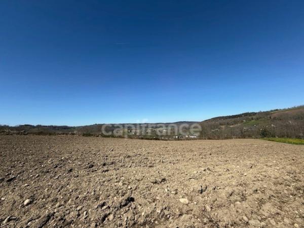 Terrain à vendre  JULOS (65)