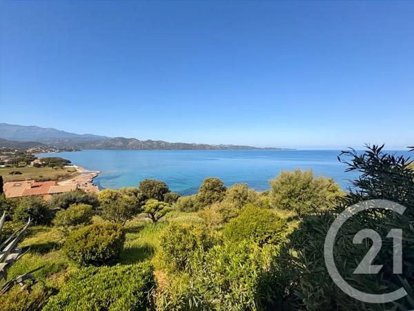 Appartement F3 à vendre  3 pièces - 60 m 2   PATRIMONIO  - 202