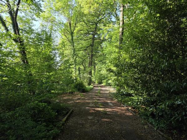 Propriété sur un terrain de 12888 m² comprenant 2 habitations (185m² et 75 m²)