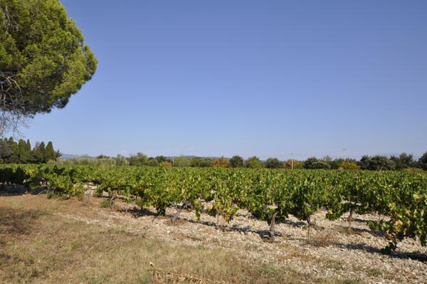 Visan (84820) Demeure de prestige Visan 10 pièce(s) 267 m2