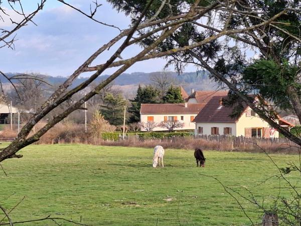 Beaux volumes pour cette maison offrant de multiples possibilités et divers projets