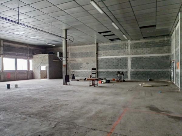 Dpt Tarn (81), à vendre SAINT AMANS VALTORET Entrepot