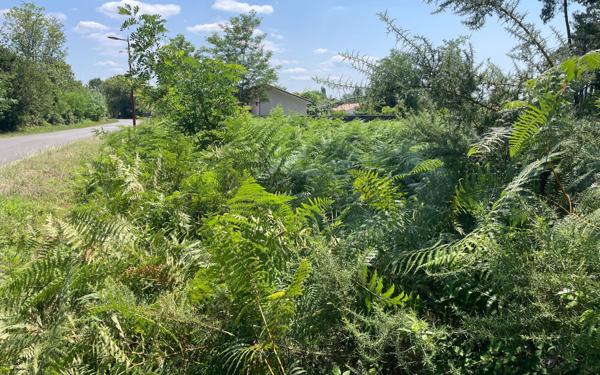 Terrain à vendre    Parentis-en-Born