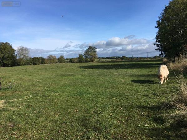 Terrain à Batir à vendre à Neuvéglise-sur-Truyère dans le Cantal (15260), ref : 044/1007
