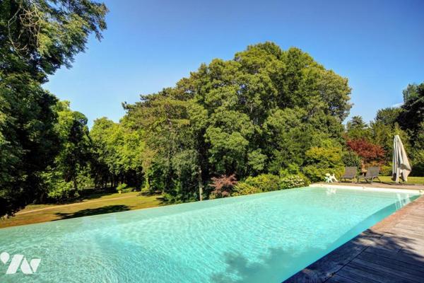 DEMEURE EN BORD DU LOIRET AVEC PISCINE A DEBORDEMENT