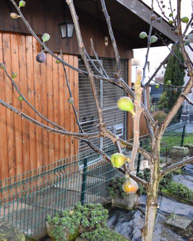 Maison à vendre 5 pièces TRUCHTERSHEIM (67)