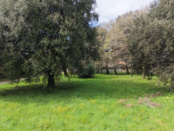 Terrain Meschers Sur Gironde 5674 m2 Meschers sur gironde