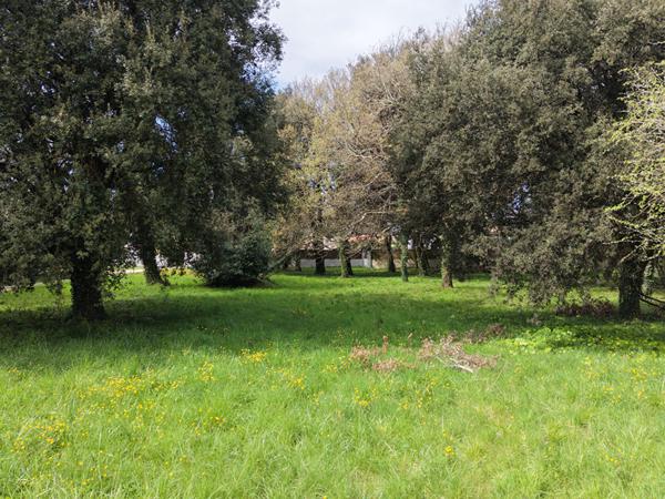 Terrain Meschers Sur Gironde 5674 m2 Meschers sur gironde