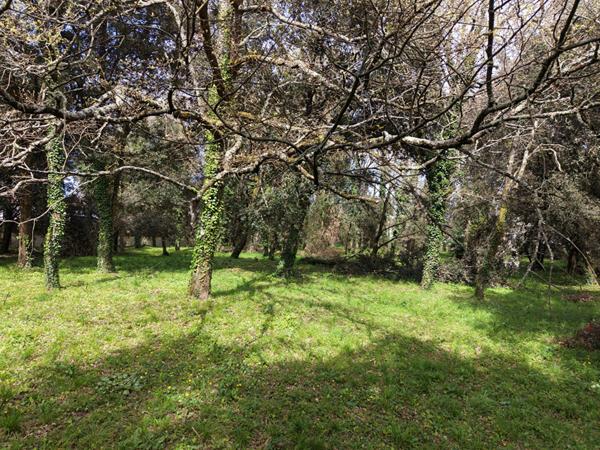 Terrain Meschers Sur Gironde 5674 m2 Meschers sur gironde